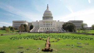 Bailey Nurseries Fills U.S. Capitol Front Lawn With Trees in Celebration of Earth Day