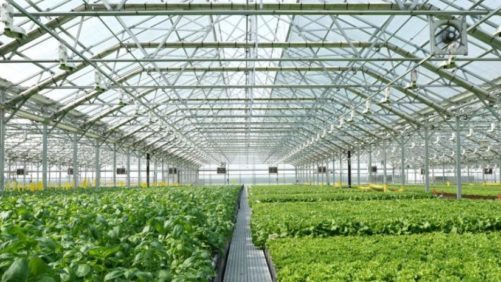 Farm Bill 2018 Includes Wins For Greenhouse Growers