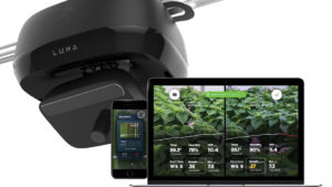 Why Horticulture Is Ripe for Artificial Intelligence