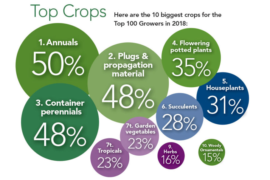 Top 10 Crops Produced By Top 100 Growers