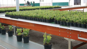 Lack of Labor Drives Need for Automation Among Top 100 Growers