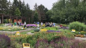 Virtual Horticulture Industry Events Are Coming; Here’s What You Need to Know