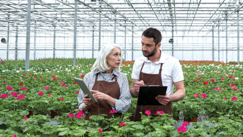 What the Green Industry Can Expect in Post-Pandemic Hiring