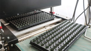 Pacific Plug & Liner Invests in New Planting Line Technology