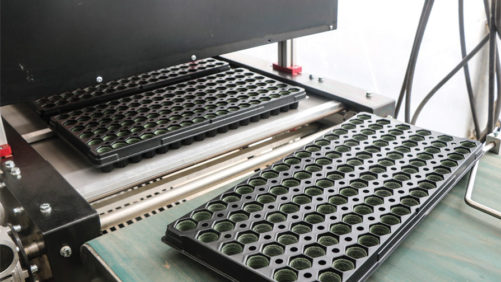 Pacific Plug & Liner Invests in New Planting Line Technology