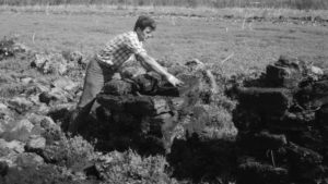 Lambert Peat Moss Celebrates 90 Years of Premium Peat Production