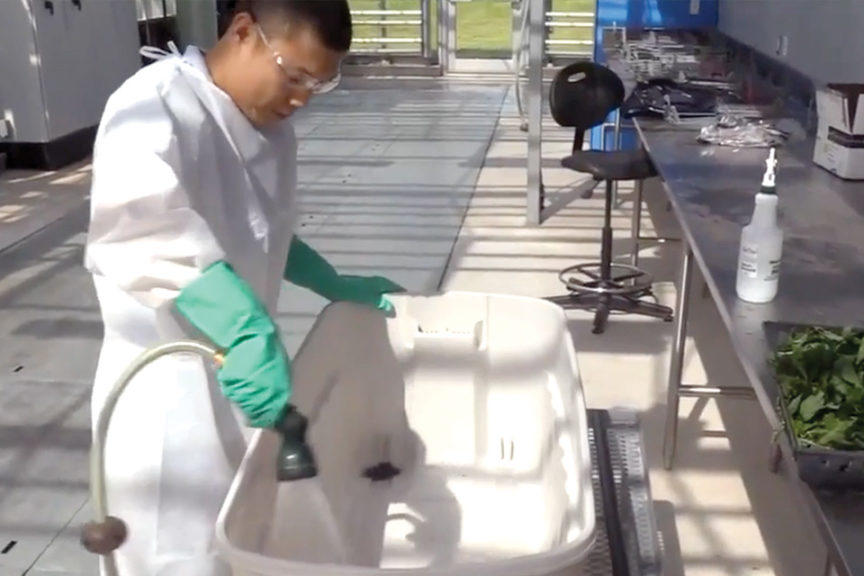 Success With Cutting Dips