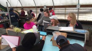 One Year In, Washington Greenhouse Growers Score Big Gains With Lean