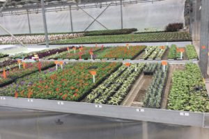 Space Management (Practical Software Solutions)