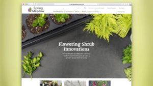 Spring Meadow Nursery Redesigns Website With New Features