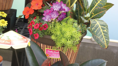 New Plant Pots, Tags, and Labels for Easy Marketing