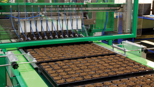 Save Labor by Filling Planting Trays Faster and Cleaner