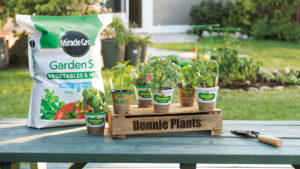 How Bonnie Plants and ScottsMiracle-Gro Are Investing in Consumer Success