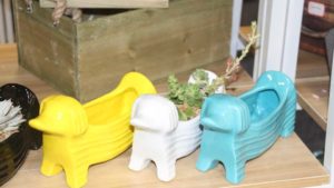 Hashtag Success! The Top Instagram Garden Trends for 2021