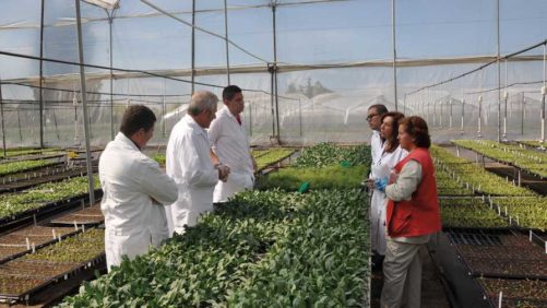 Darwin Colombia, Young’s Plant Farm Gain Sustainability Certification
