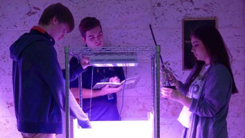 Why Space May Be AgTech’s Next Giant Leap Forward