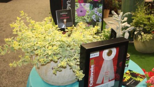 15 Products That Garden Retailers Loved at Cultivate’18