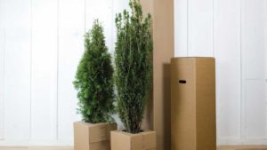 New E-Commerce Resource Aims to Ensure Shipment of Disease-Free Plants