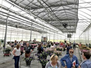 New Bloom Plant Trials
