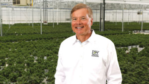 Five Labor-Saving Ideas From Four Star Greenhouse