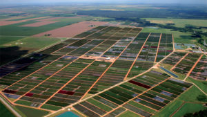 TreeTown USA Will Fill Growing Needs With Now Official Acquisition of Hines Division