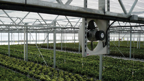 Four Keys to Optimal Air Flow in the Greenhouse
