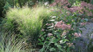 Perennial Plant Symposium Focuses on Green Infrastructure