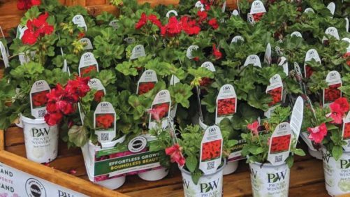 ScottsMiracle-Gro is Building on its Live Goods Momentum