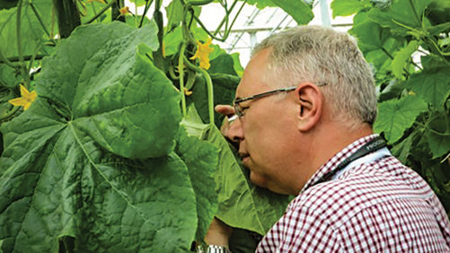 Greenhouse Growers Invited to Get the Lowdown on Biocontrols