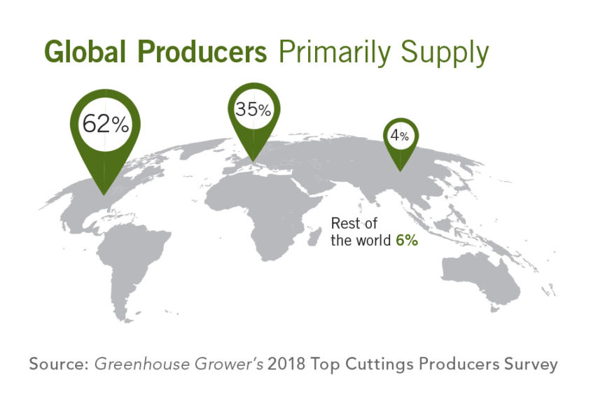 Top Cuttings Producers