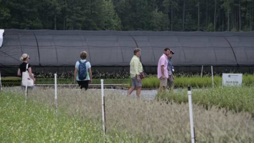 Register Now for This Summer’s Perennial Plant Symposium