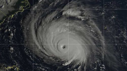 AmericanHort Plug & Cutting Conference Cancelled Due to Hurricane Florence