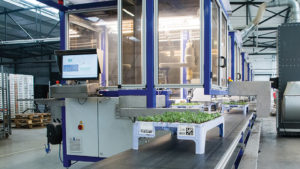 An In-Depth Look at the ISO Cutting Planter