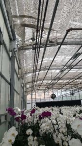 Inspect Shade and Curtains for Tears and Damage