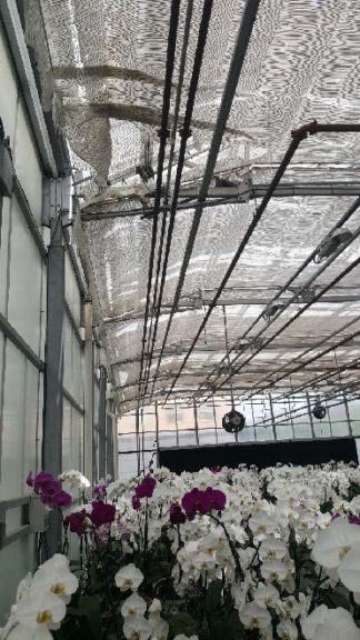 Inspect Shade and Curtains for Tears and Damage