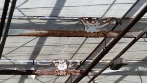 Tips on Preparing Your Greenhouse for Fall and Winter