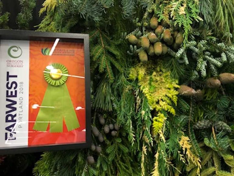 Mixed Greens (Peace of Mind Nursery)