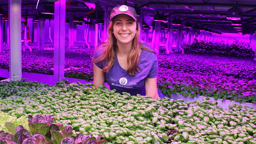 Nation's First Fully Automated Vertical Farm Breaks Ground in Ohio -  Greenhouse Grower