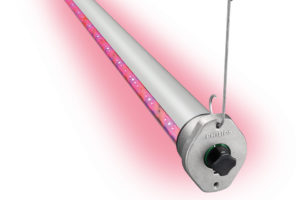 Philips GreenPower LED Interlighting (Signify)