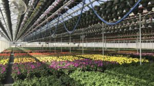 Success of CFAP Program Highlights Importance of Horticulture Industry Advocacy