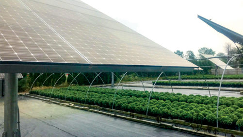 How Your Ag Operation Can Add Electric Co-Ops Through New USDA Loans