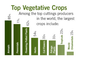 Top Cuttings Producers