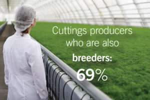 Top Cuttings Producers