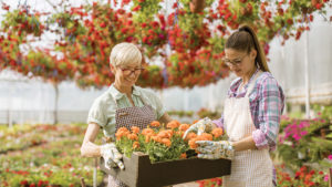 Why Focusing on Youth in Hiring Can Hurt Your Organizational Health