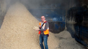 Challenges and Considerations of Using  Wood Substrates: Chemical Properties