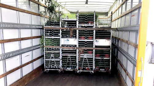 Shipping Update: Greenhouse Growers Face Driver Shortages, Stringent Trucking Rules