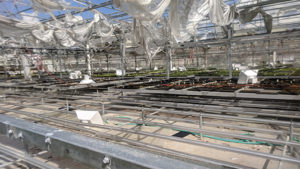 Oglesby Plants Resumes Shipping After Hurricane Michael