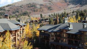 How One Virtual Event Connected Greenhouse Growers and Suppliers