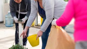 Boost Greenhouse Productivity With Lean Principles