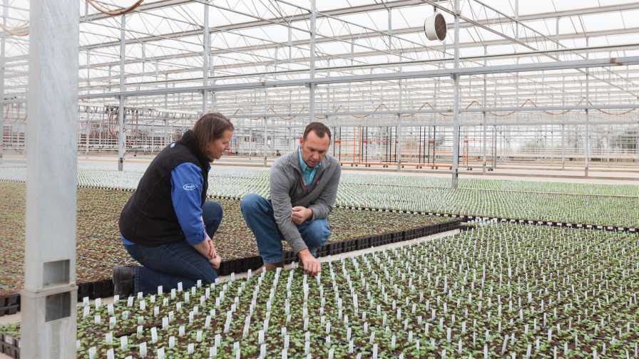 How You Can Become a Gamechanger in Your Part of the Horticulture Industry